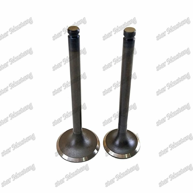 Valf C240 IN 5-12551-028-0 EX 5-12552-034-0 Isuzu motor yedek parçaları için uygundur