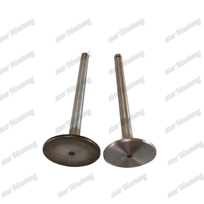 Valf EK100 EK130 EF750 13715-1060 13711-1450 Hino Motor yedek parçaları için uygundur