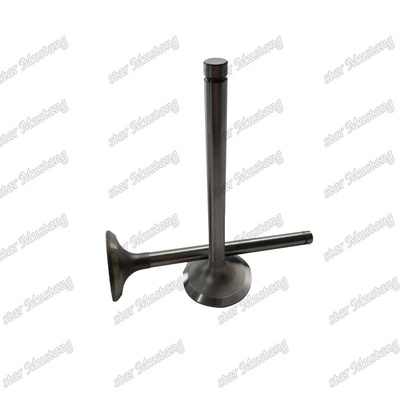 Valf EK100 EK130 EF750 13715-1060 13711-1450 Hino Motor yedek parçaları için uygundur