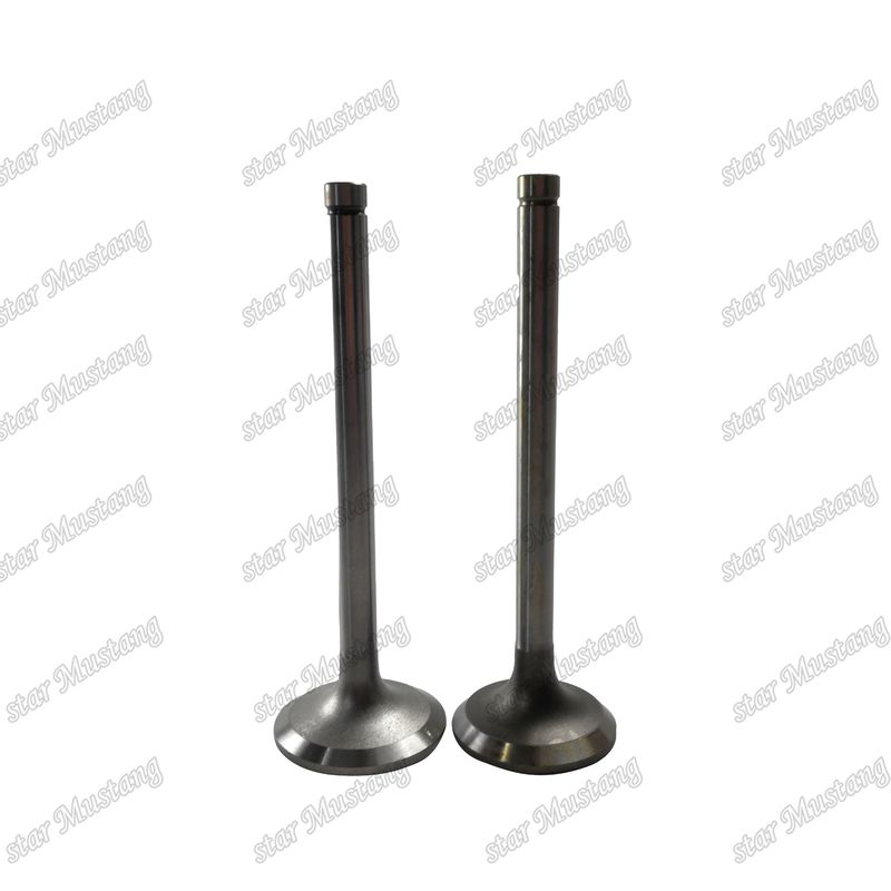 Valf EK100 EK130 EF750 13715-1060 13711-1450 Hino Motor yedek parçaları için uygundur