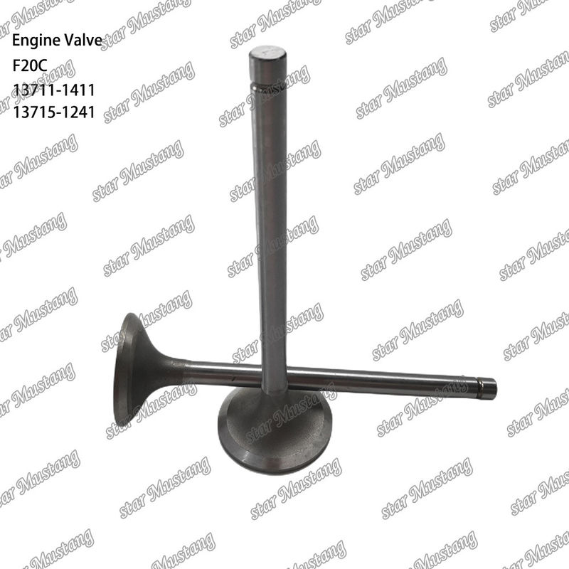 Motoru F20C 13711-1411 13715-1241 Hino motor yedek parçaları için uygundur