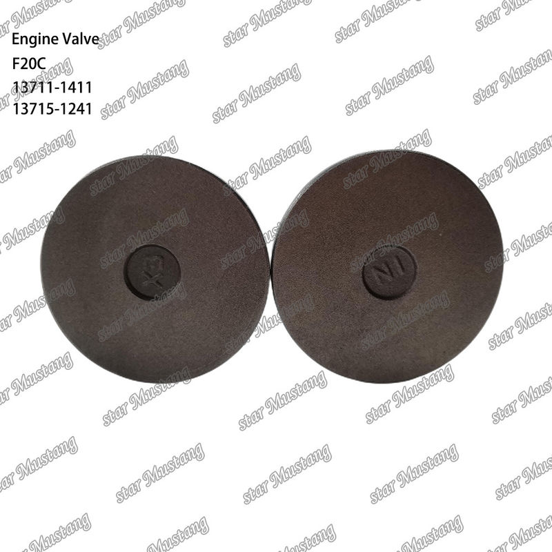 Motoru F20C 13711-1411 13715-1241 Hino motor yedek parçaları için uygundur