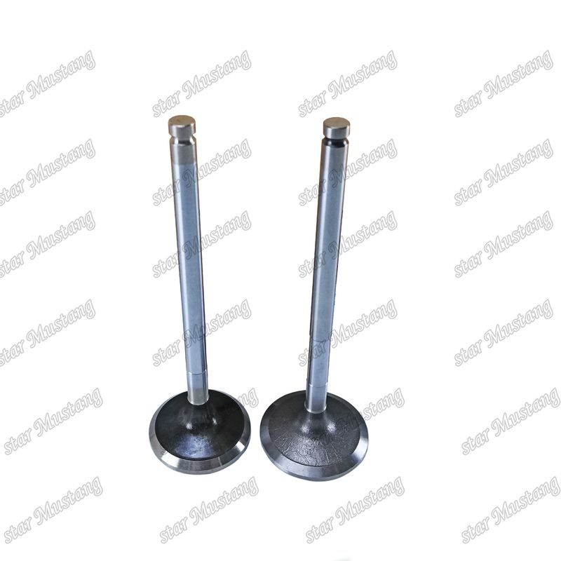 Dizel Valf DE08 IN 65.01611-2031 EX 65.01611-2042 Doosan Motor yedek parçaları için uygundur