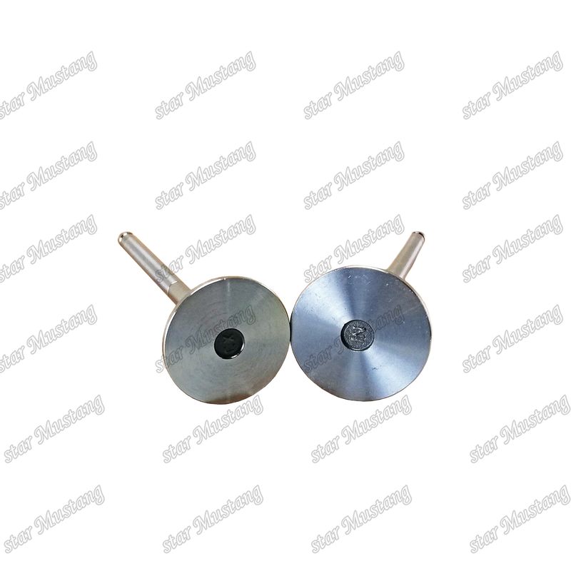 Dizel Valf DE08 IN 65.01611-2031 EX 65.01611-2042 Doosan Motor yedek parçaları için uygundur