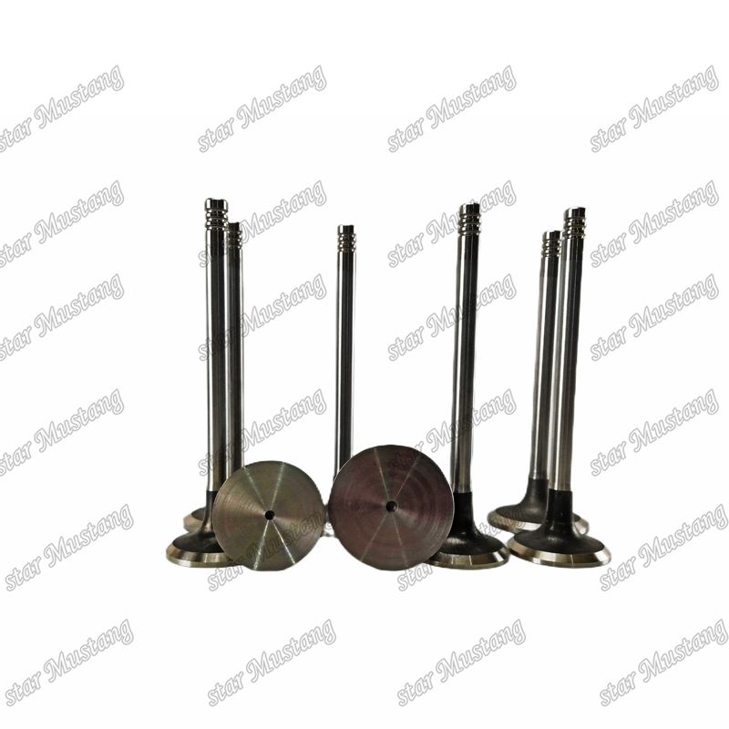 Dizel motoru tipi valf giriş ve egzoz TCD2012 L042V 04285985 04285986 Deutz motoru yedek parçaları için uygundur