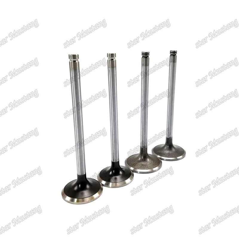 Valf 6D114 6CT 6CT8.3 Giriş 3924492 Egzoz 3921444 Cummins Motor yedek parçaları için uygundur