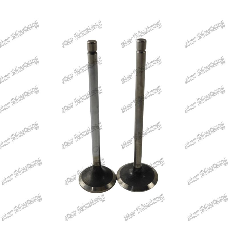 Valf QSF2.8 IN 5261320 EX 5256949 Cummins motor yedek parçaları için uygundur