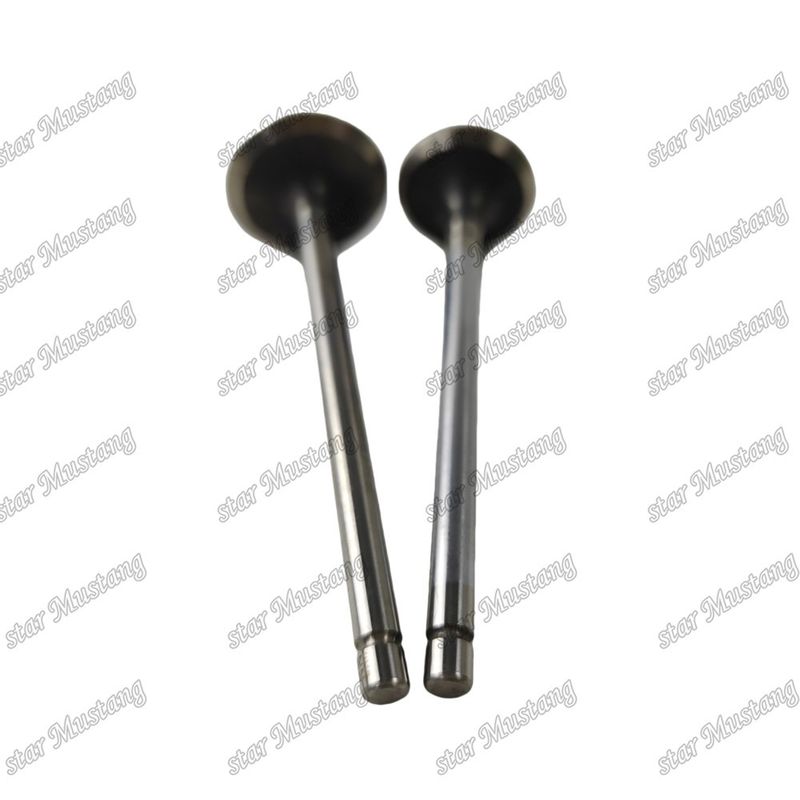 Valf QSF2.8 IN 5261320 EX 5256949 Cummins motor yedek parçaları için uygundur