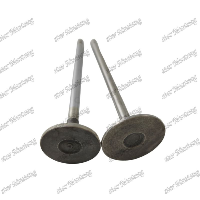 Valf QSF2.8 IN 5261320 EX 5256949 Cummins motor yedek parçaları için uygundur