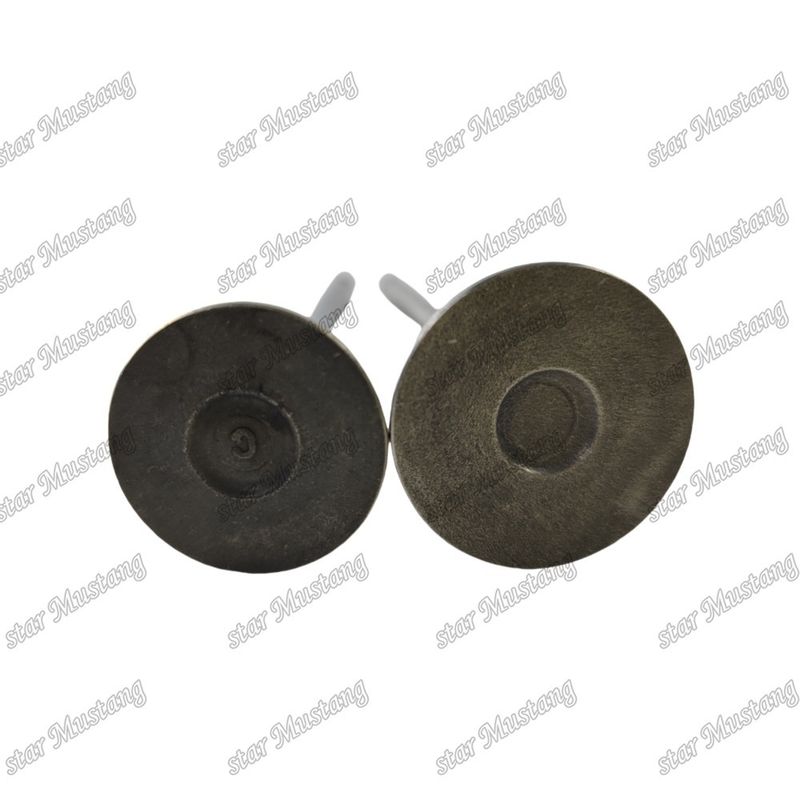 Valf QSF2.8 IN 5261320 EX 5256949 Cummins motor yedek parçaları için uygundur