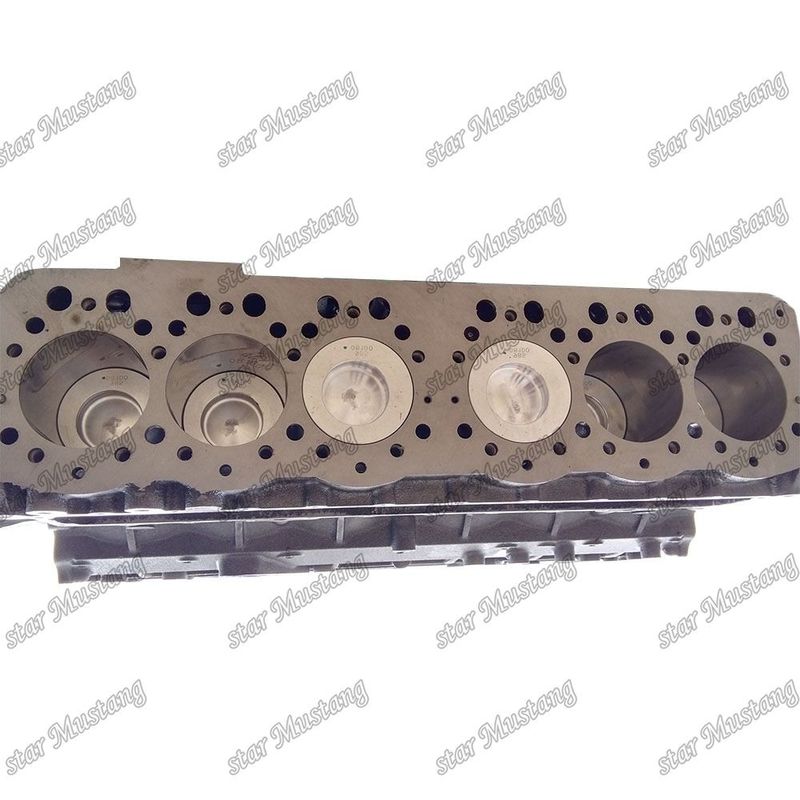 Entegre Yapı Kısa Blok S6K 5I7613 34307-01010 Performans ve 6 Aylık Dizel Motor Parçası