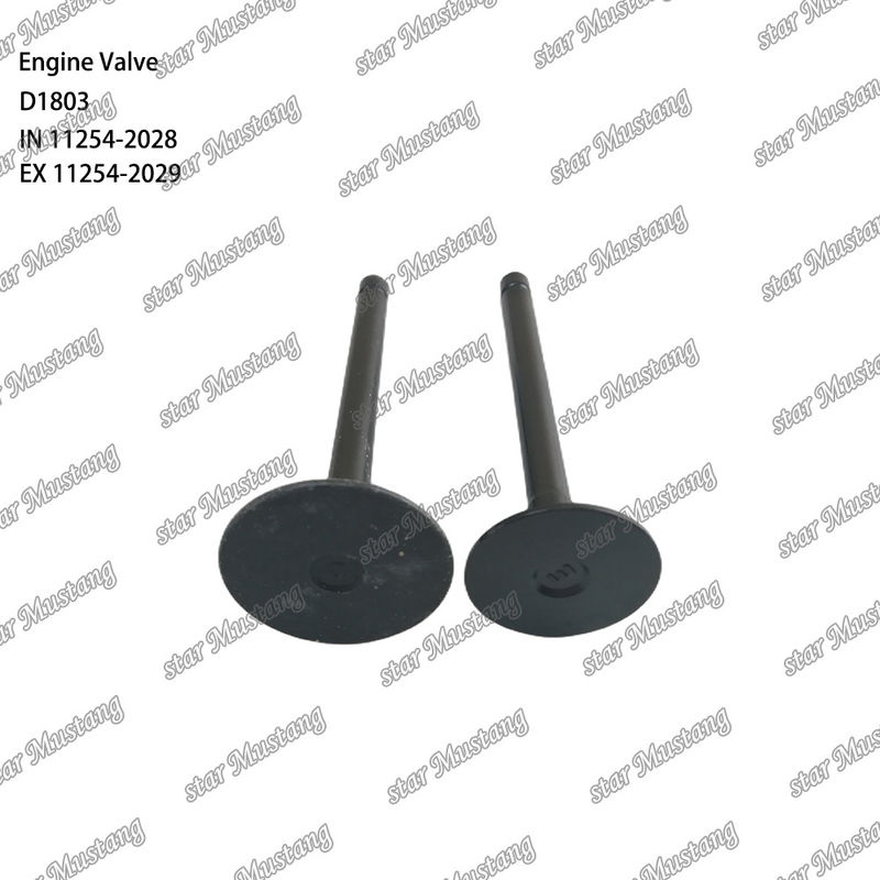Dizel motoru D1803 IN 11254-2028 EX 11254-2029 Entegre yapı valfi ile kısa bloklu