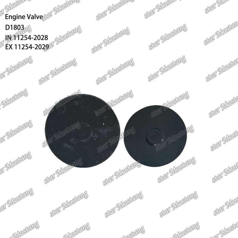 Dizel motoru D1803 IN 11254-2028 EX 11254-2029 Entegre yapı valfi ile kısa bloklu