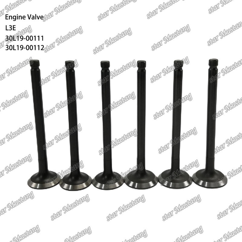 L3E 30L19-00111 30L19-00112 Mitsubishi yedek parçaları için uygun dizel motor valfi
