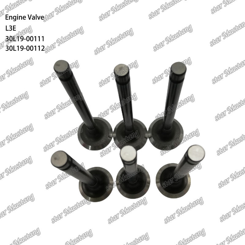 L3E 30L19-00111 30L19-00112 Mitsubishi yedek parçaları için uygun dizel motor valfi