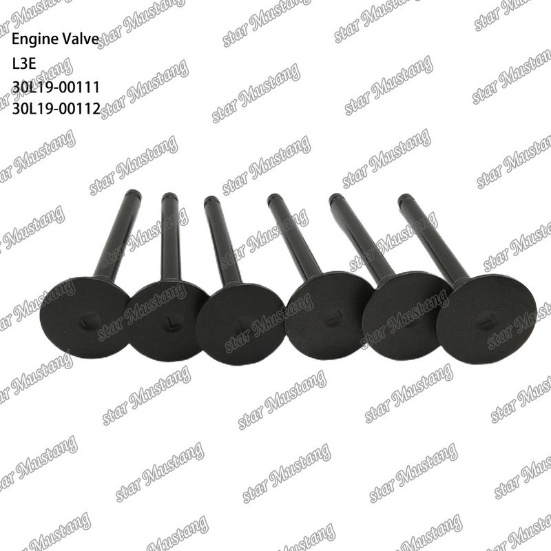 L3E 30L19-00111 30L19-00112 Mitsubishi yedek parçaları için uygun dizel motor valfi