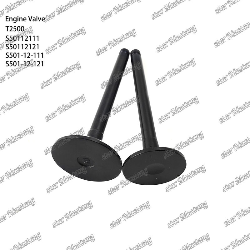 Orijinal Stock Integral Structure Valve T2500 S50112111 S50112121 S501-12-111 S501-12-121 Motor Parçası