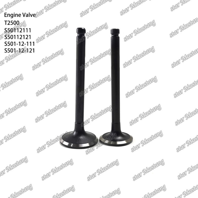 Orijinal Stock Integral Structure Valve T2500 S50112111 S50112121 S501-12-111 S501-12-121 Motor Parçası