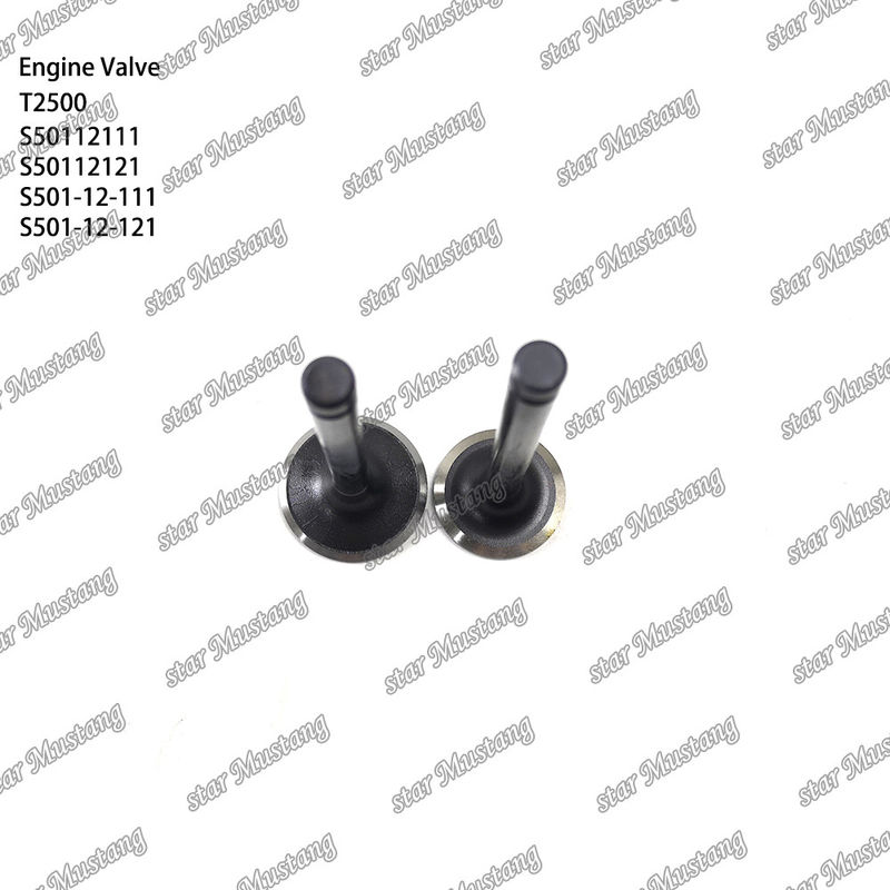 Orijinal Stock Integral Structure Valve T2500 S50112111 S50112121 S501-12-111 S501-12-121 Motor Parçası