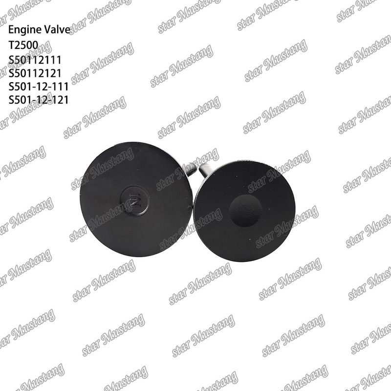 Orijinal Stock Integral Structure Valve T2500 S50112111 S50112121 S501-12-111 S501-12-121 Motor Parçası