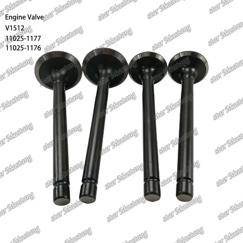 Dizel motoru parçası orijinal stok bütünleşik yapı valfi V1512 11025-1177 11025-1176 Online destekle