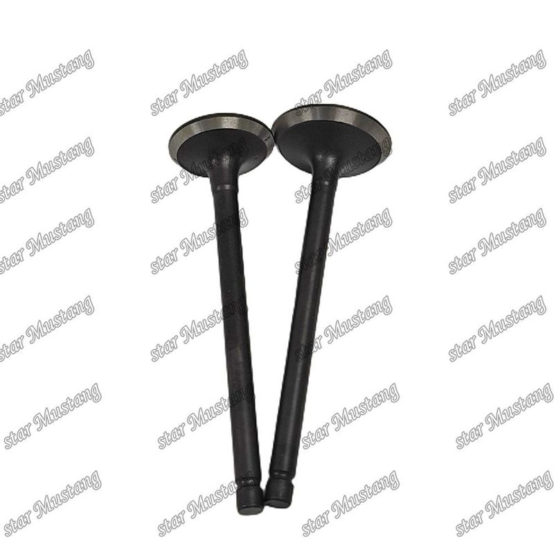 Integral Structure Valve V2403 Dizel Motoru Parçası Online Destekle