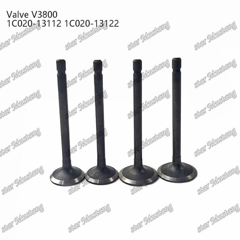 V3800 1C020-13112 1C020-13122 Dizel Motor Parçası Online Destekle Birleştirilmiş Yapı Valfi