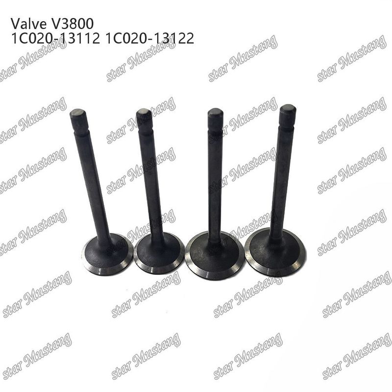V3800 1C020-13112 1C020-13122 Dizel Motor Parçası Online Destekle Birleştirilmiş Yapı Valfi