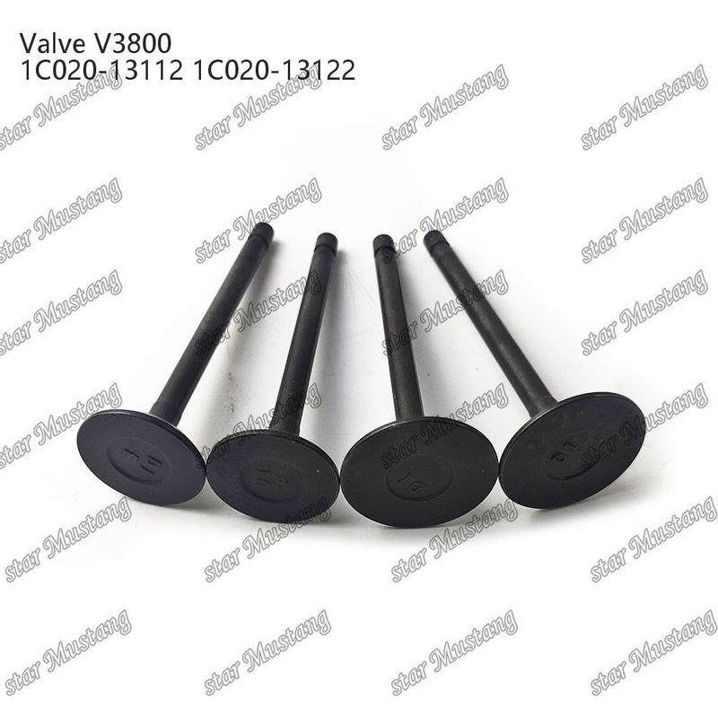 V3800 1C020-13112 1C020-13122 Dizel Motor Parçası Online Destekle Birleştirilmiş Yapı Valfi