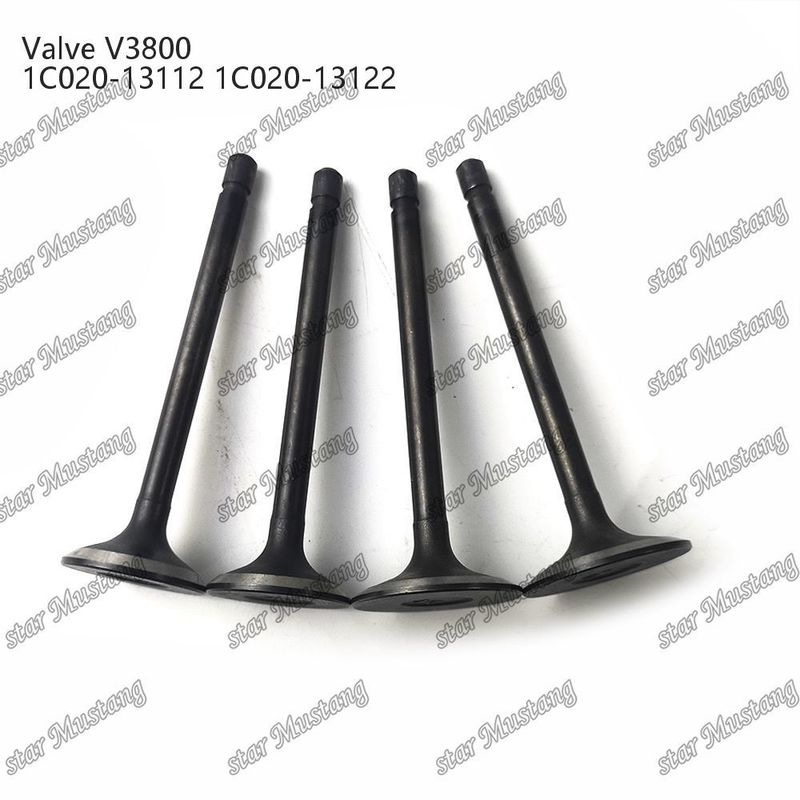 V3800 1C020-13112 1C020-13122 Dizel Motor Parçası Online Destekle Birleştirilmiş Yapı Valfi