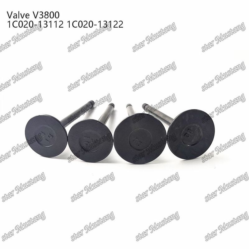 V3800 1C020-13112 1C020-13122 Dizel Motor Parçası Online Destekle Birleştirilmiş Yapı Valfi