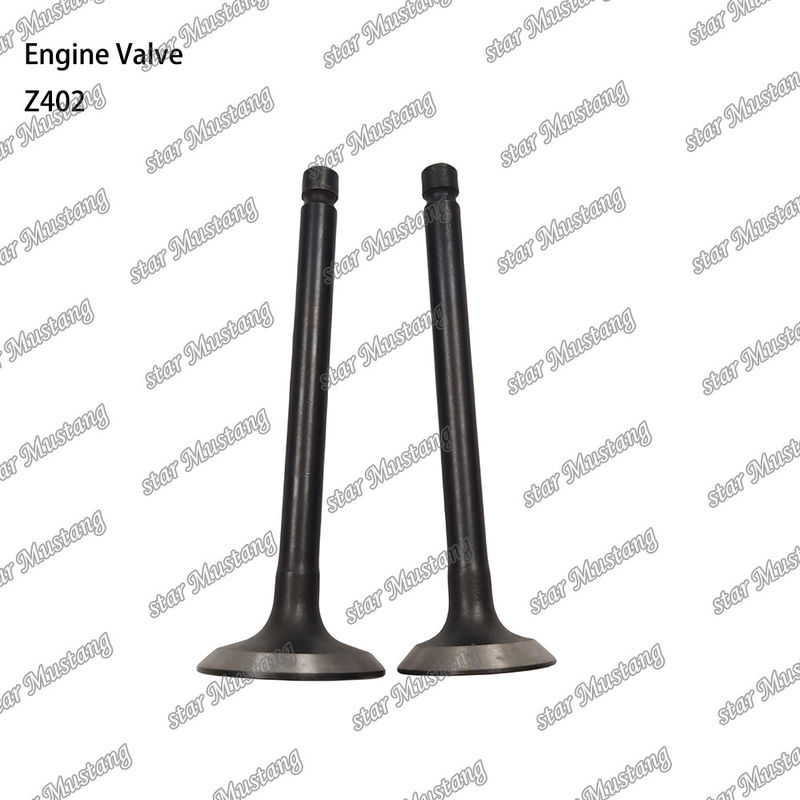 Dizel motor parçası Z402 Entegre yapısı Valf stok durumu online destekle