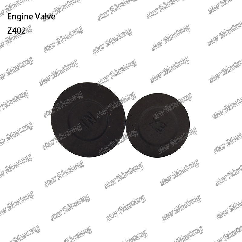 Dizel motor parçası Z402 Entegre yapısı Valf stok durumu online destekle