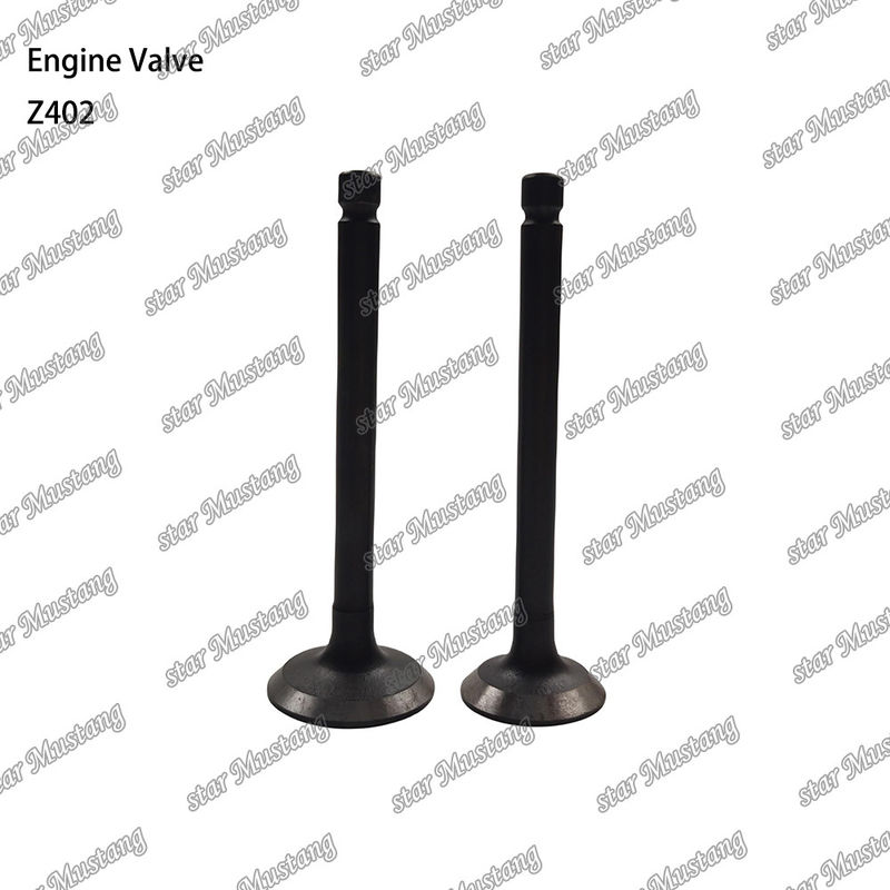 Dizel motor parçası Z402 Entegre yapısı Valf stok durumu online destekle