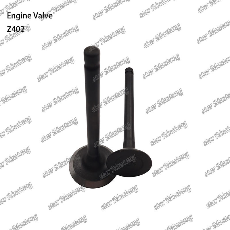 Dizel motor parçası Z402 Entegre yapısı Valf stok durumu online destekle