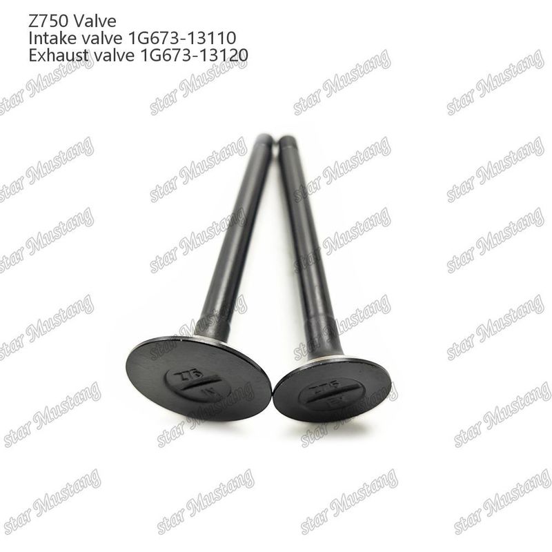 Integral Structure Valve Z750 1G673-13110 1G673-13120 Dizel Motoru Parçası Online Destekle Orijinal Stok