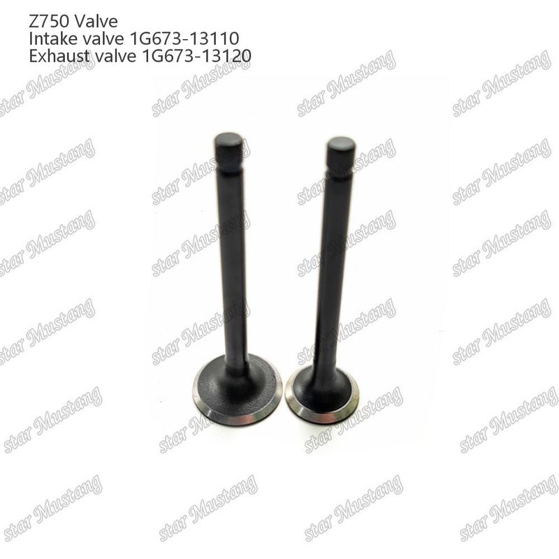 Integral Structure Valve Z750 1G673-13110 1G673-13120 Dizel Motoru Parçası Online Destekle Orijinal Stok