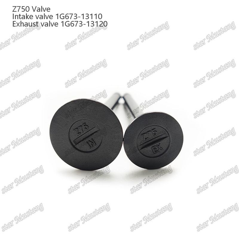 Integral Structure Valve Z750 1G673-13110 1G673-13120 Dizel Motoru Parçası Online Destekle Orijinal Stok