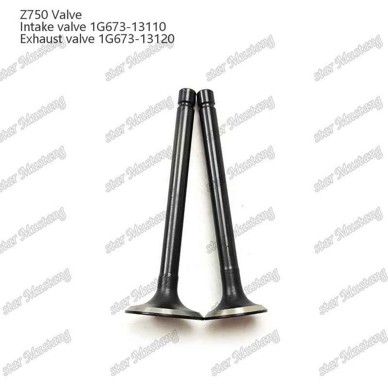 Integral Structure Valve Z750 1G673-13110 1G673-13120 Dizel Motoru Parçası Online Destekle Orijinal Stok