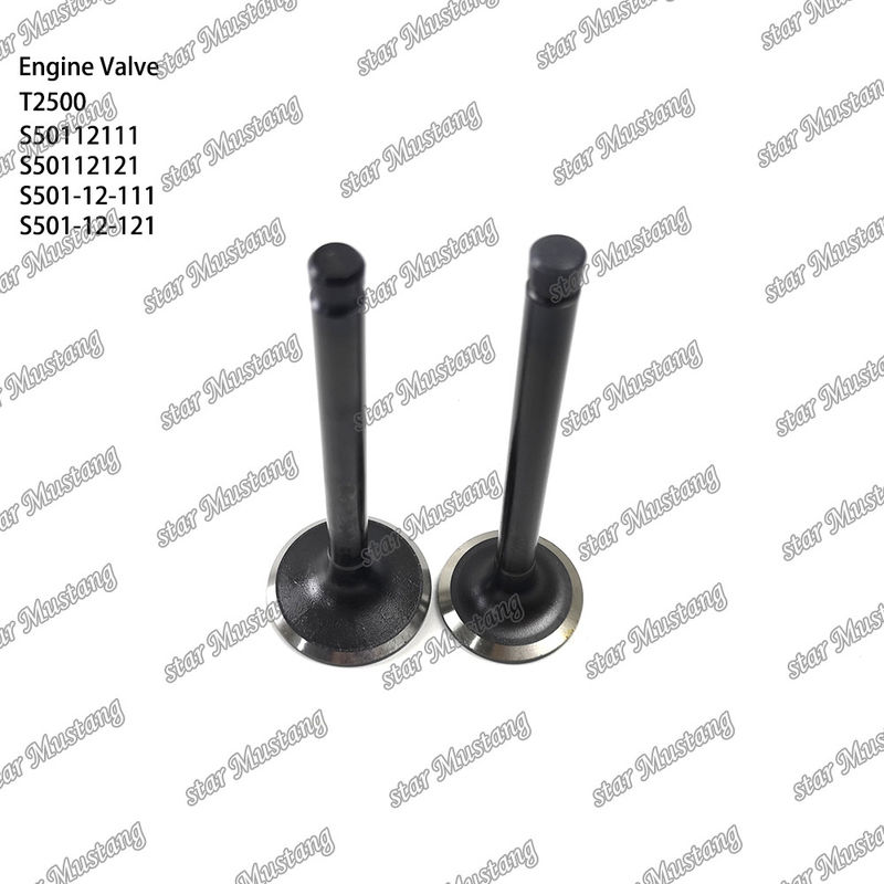 Entegre Yapı Valf T2500 S50112111 S50112121 S501-12-111 S501-12-121 Dizel Motor Parçası Online Destekle Orijinal Stok