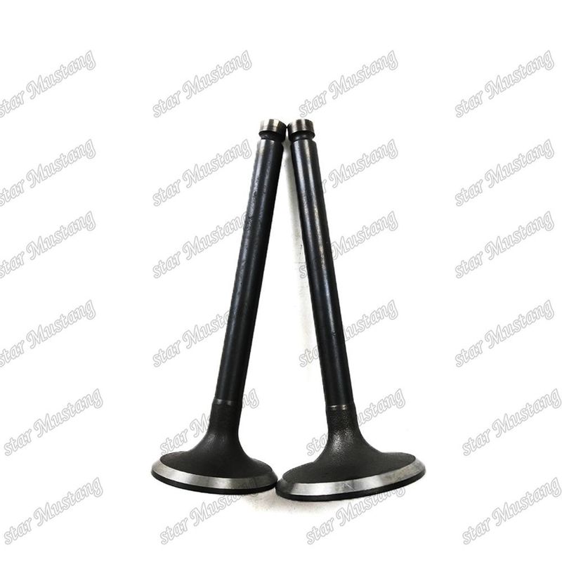 Integral Structure Valve T3000 Dizel Motoru Parçası Online Destekle