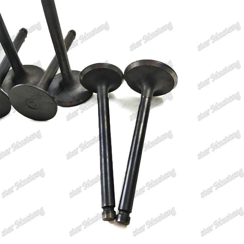 Integral Structure Valve T3000 Dizel Motoru Parçası Online Destekle