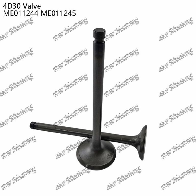 Integral Structure Valve 4D30 ME011244 ME011245 Dizel Motoru Parçası Online Destekle Orijinal Stok