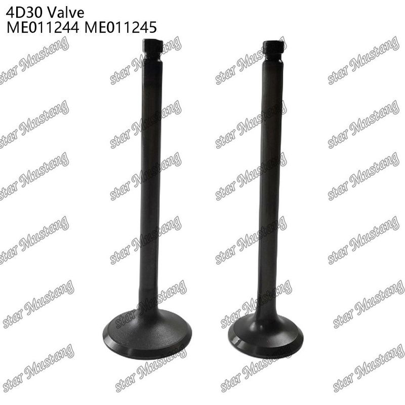 Integral Structure Valve 4D30 ME011244 ME011245 Dizel Motoru Parçası Online Destekle Orijinal Stok