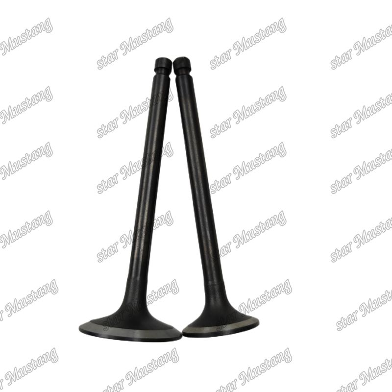 Integral Structure Valve 4DQ5 32C04-00100 32C04-01100 Dizel Motoru Parçası