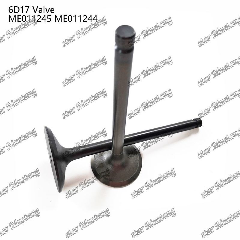 Orijinal Stock Integral Structure Valve 6D17 24V ME011245 ME011244 Dizel Motoru Bölümü Kısa Blok Online Destekle