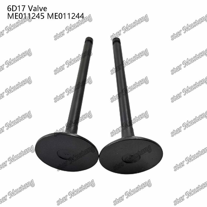 Orijinal Stock Integral Structure Valve 6D17 24V ME011245 ME011244 Dizel Motoru Bölümü Kısa Blok Online Destekle