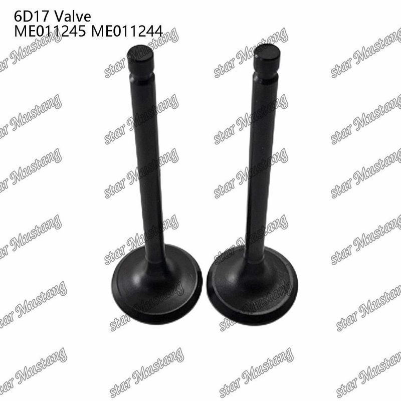 Orijinal Stock Integral Structure Valve 6D17 24V ME011245 ME011244 Dizel Motoru Bölümü Kısa Blok Online Destekle