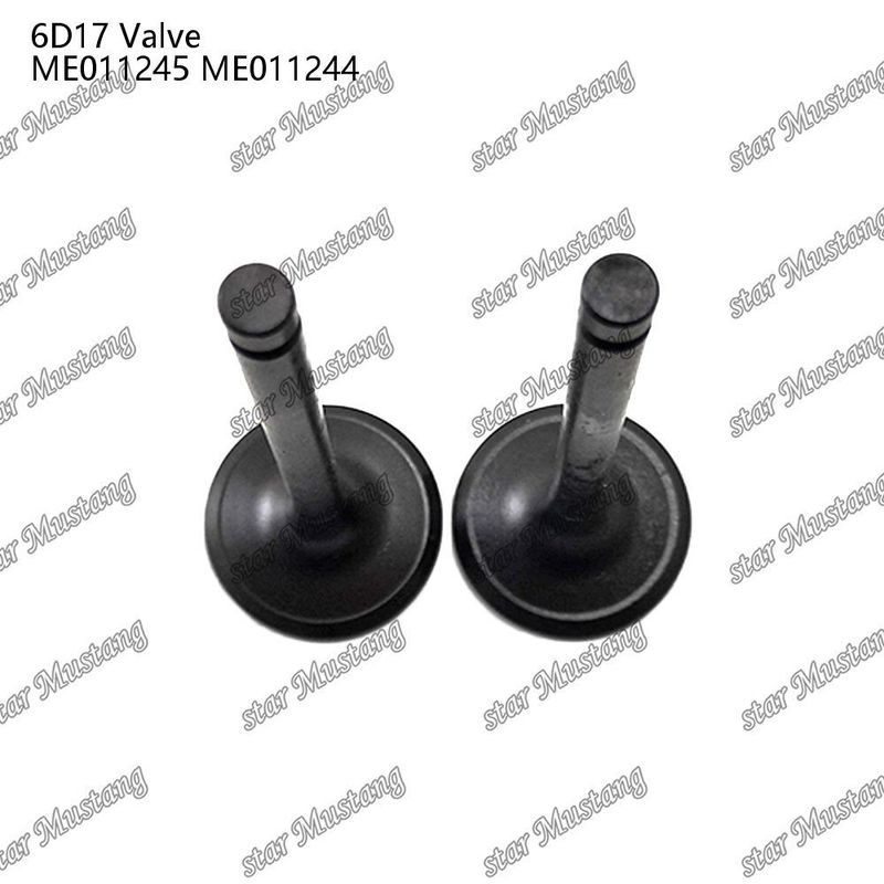 Orijinal Stock Integral Structure Valve 6D17 24V ME011245 ME011244 Dizel Motoru Bölümü Kısa Blok Online Destekle