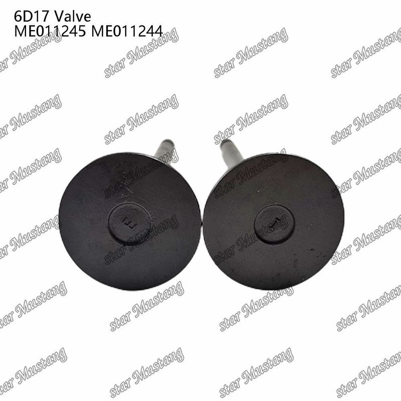 Orijinal Stock Integral Structure Valve 6D17 24V ME011245 ME011244 Dizel Motoru Bölümü Kısa Blok Online Destekle